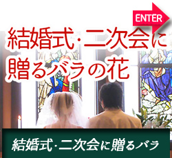 結婚式・二次会に贈るバラ