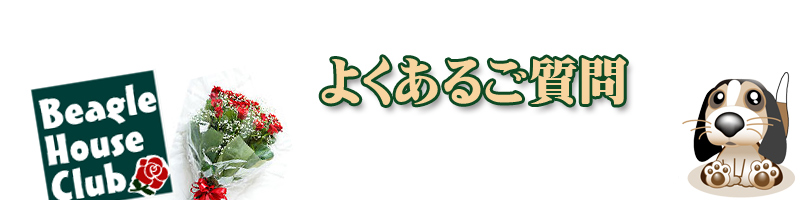 よくあるご質問